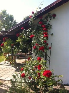 Kerzinger Immobilien